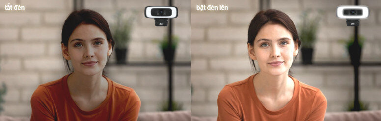 Webcam hội nghị truyền hình AVer CAM130