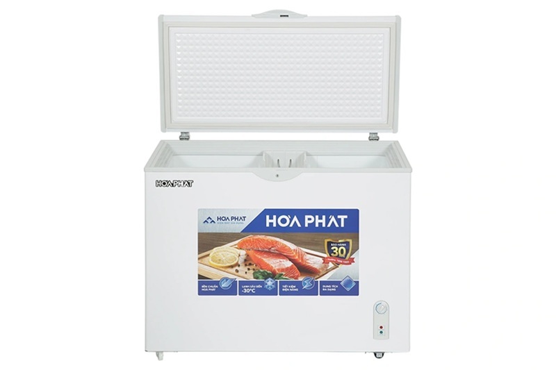 Tủ đông Hòa Phát 1 ngăn 252 lít HPF AD6252