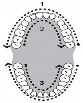 Máy tăm nước Max-456 (có nắp đậy)