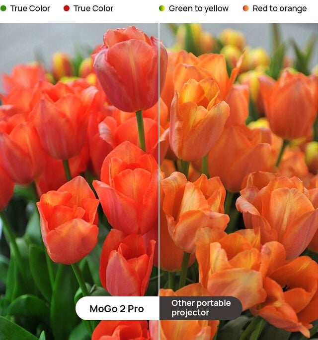 Xgimi Mogo 2 Pro cho gam màu tươi sáng Xgimi Mogo 2 Pro