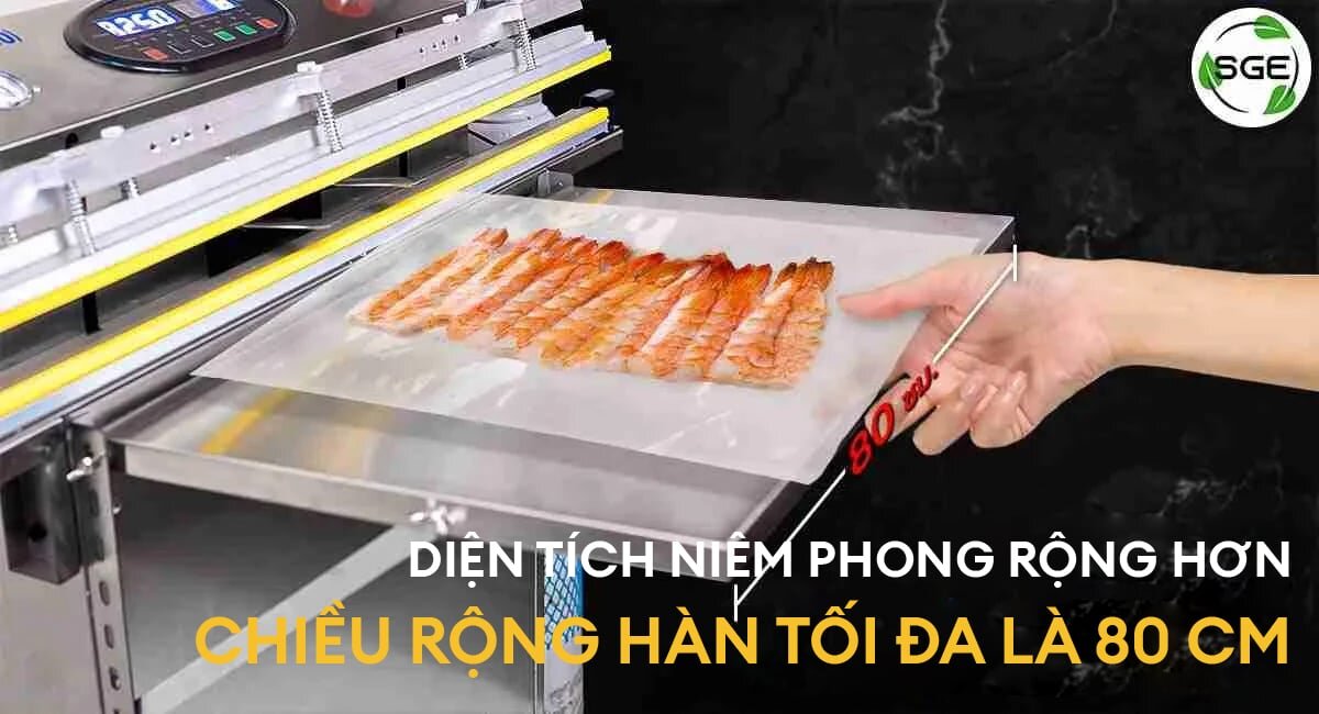 Máy hút chân không Spring Green Evolution