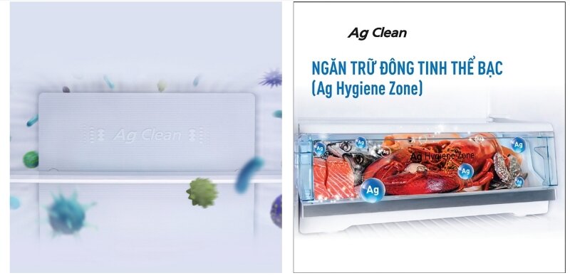 Tủ lạnh Panasonic Inverter 265 lít NR-TV301GVKV