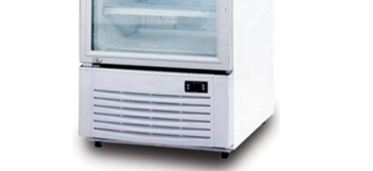 Tủ mát Berjaya 1 cánh 350 lít BJY-DCPS350