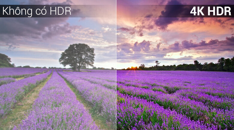 Smart Tivi Sony 65 inch 65X7500F, 4K HDR, Android Tivi