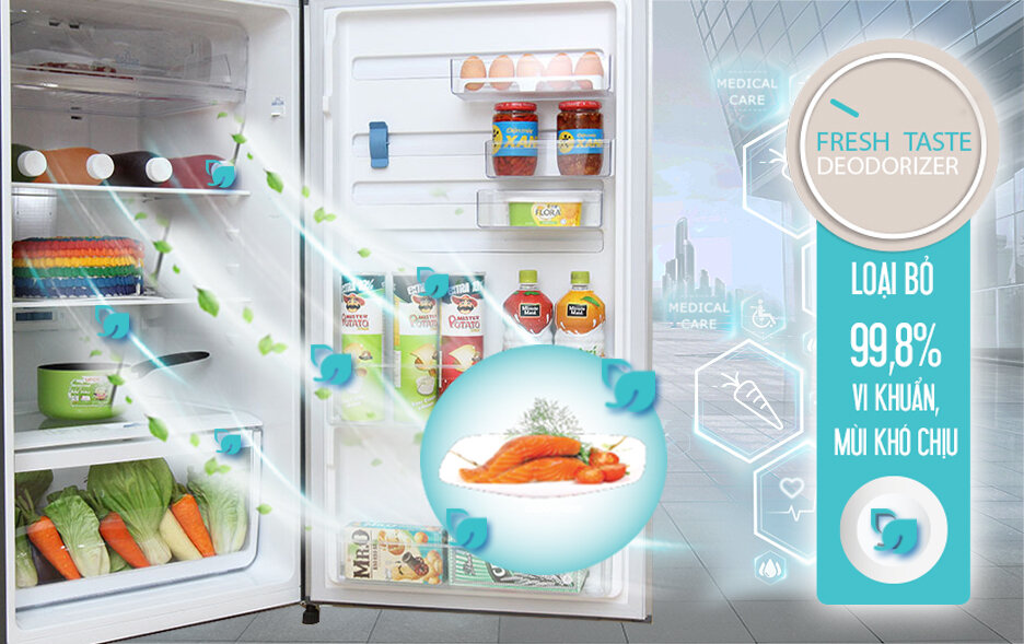 Tủ lạnh Electrolux 349 lít ETE3500AG Tủ lạnh Electrolux 349 lít ETE3500AG
