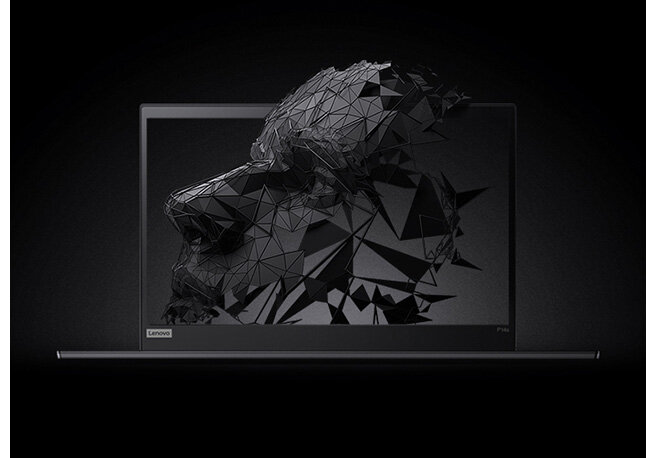 Máy tính xách tay Lenovo Thinkpad P14s G2 20VX00E1VN