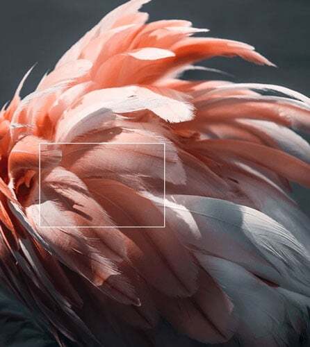 Google tivi Xiaomi A 55 inch L55M8 P2SEA được trang bị nhiều công nghệ hình ảnh hiện đại Google tivi Xiaomi A 55 inch L55M8 P2SEA được trang bị nhiều công nghệ hình ảnh hiện đại