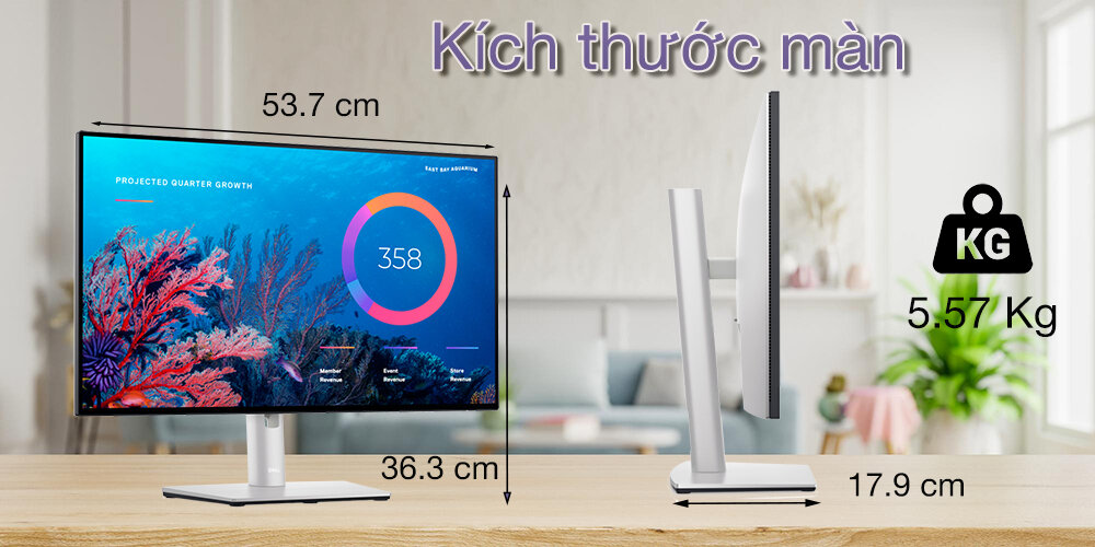 Màn hình Dell U2422HE 2