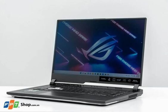 Laptop Asus Gaming ROG G513RC 5
