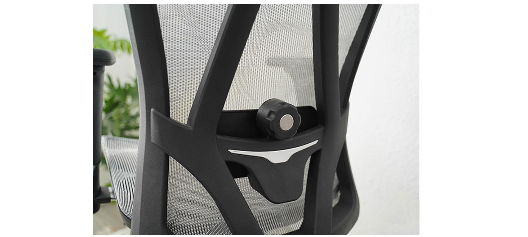 Ghế Công Thái Học E-Dra EEC215 Black ảnh 7