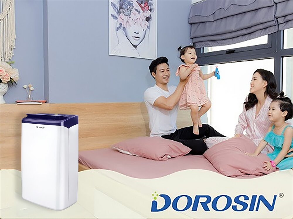 Máy hút ẩm Dorosin ER 616C