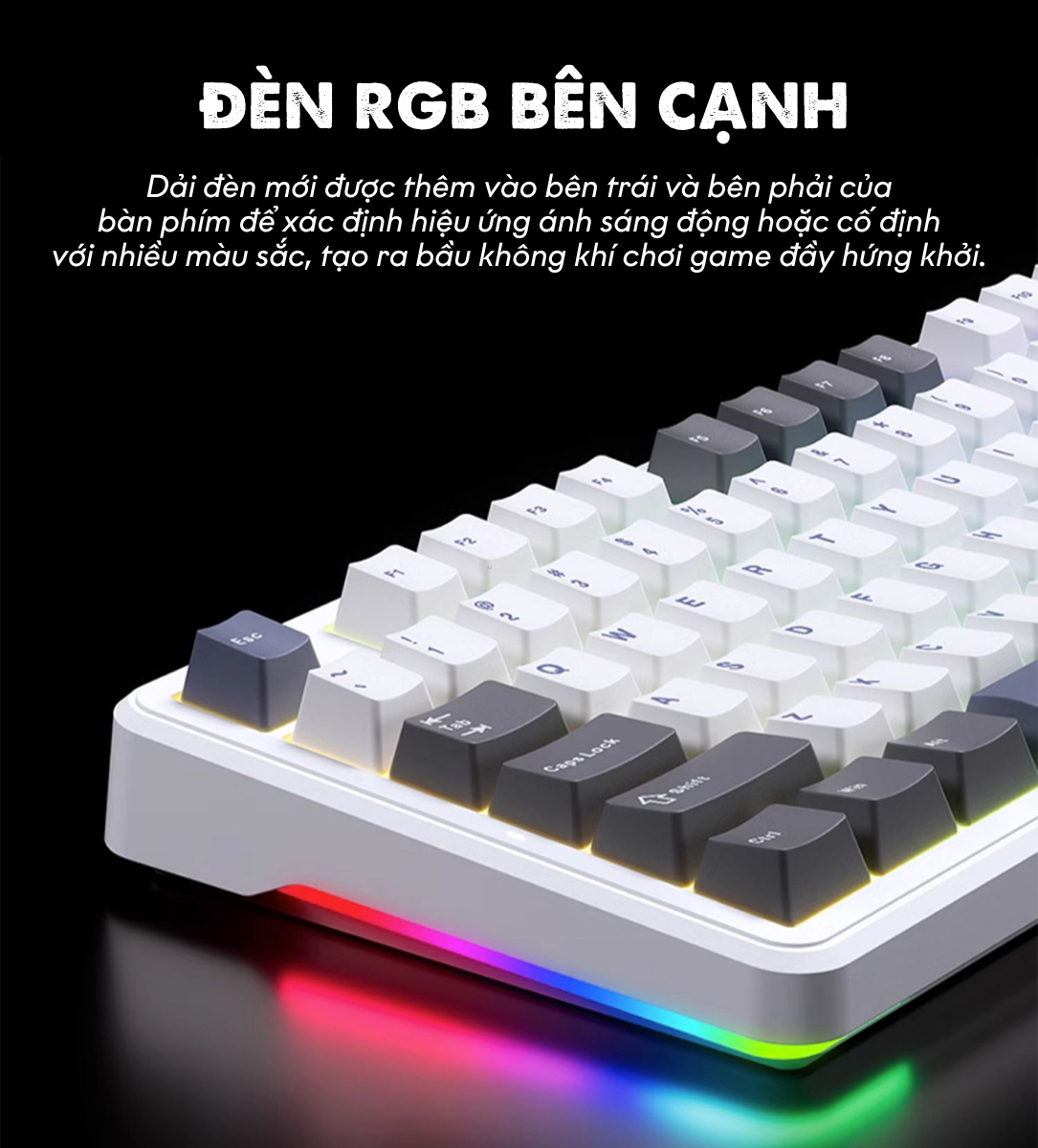 Bàn phím cơ có dây AULA F87 Tím trắng (USB, Blue switch, led RGB) 13