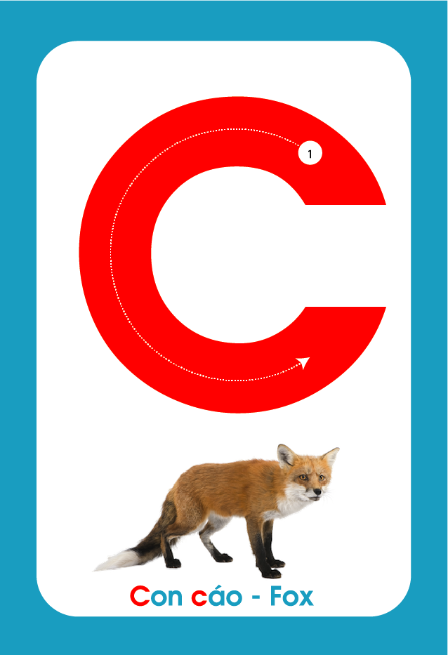  FlashCard - Bảng chữ cái tiếng việt và chữ số