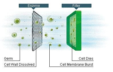 Điều hòa 2 chiều Gree GVH24AG-K1NNA5A - 24.000 BTU