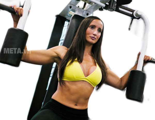 Máy đẩy ngực dưới Tiger Sport TG-150 Máy đẩy ngực dưới Tiger Sport TG-150