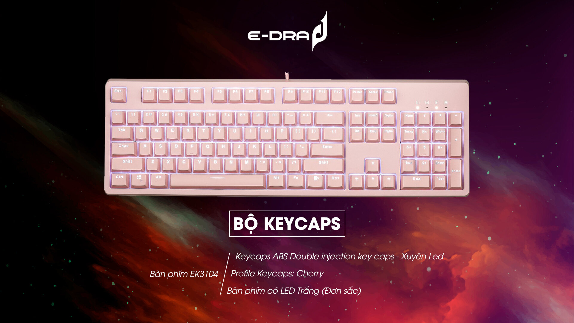 Bàn phím cơ Edra EK3104 Pink V2 Blue sw (Edra) (USBC/White Led) 4