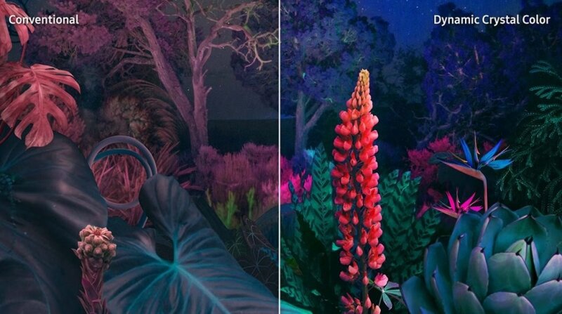 Tivi Samsung 55DU8000 - Hình ảnh đẹp, chức năng tốt, tầm giá phổ thông