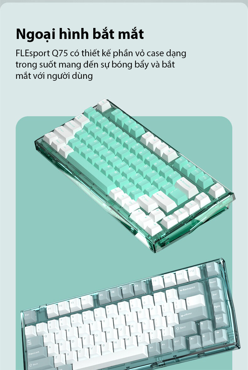 Bàn phím cơ Không dây FL-Esport Q75 Blue Haze 3 Mode Coolmint sw (Kailh Box/USBC/Bluetooth/RGB) 2