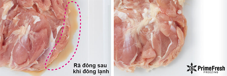 Tủ lạnh 4 cánh Inverter Panasonic NR-DZ600GKVN 550 Lít