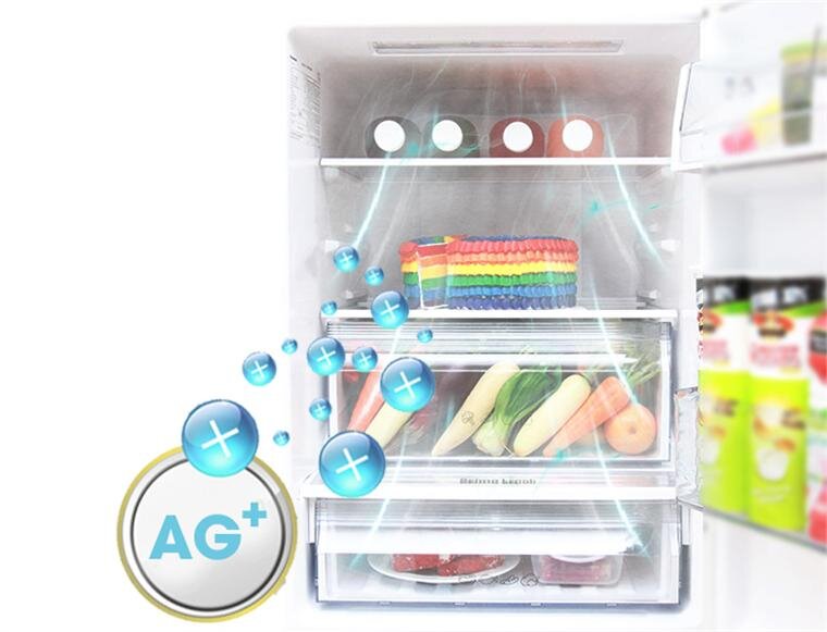 Tủ lạnh Panasonic NR-BV328GKVN - 290 Lít Cấp đông mềm