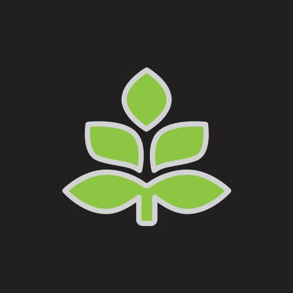 Tủ lạnh  Sharp SJ-BW30DV-BK - 290 Lít (Đen)