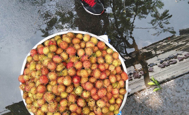 Điện thoại Wiko Ridge Fab 4G