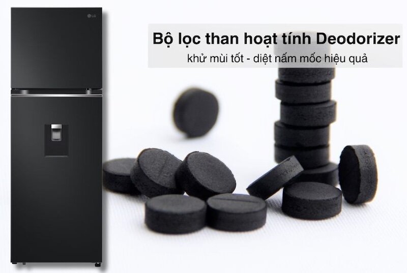 Tủ lạnh LG Inverter 315 lít LTD31BLM tích hợp công nghệ kháng khuẩn hiện đại