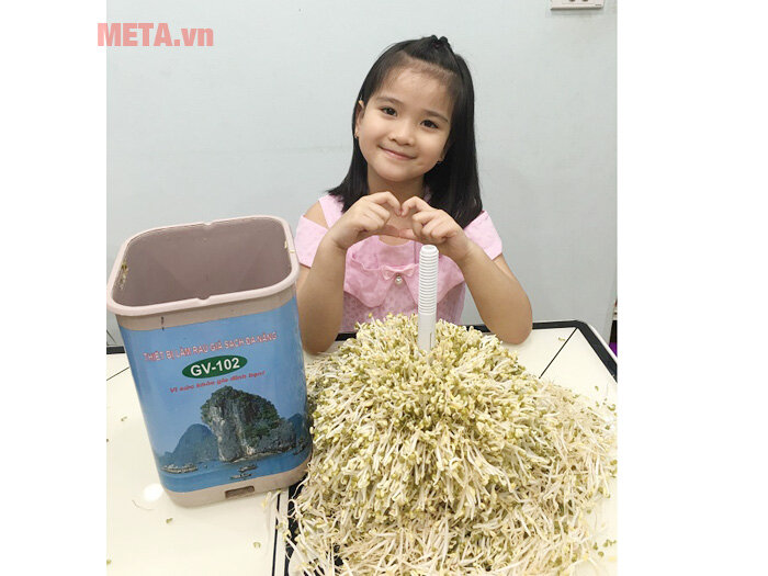 Máy làm giá đỗ sạch đa năng GV-102 - Tự động (new T4.2019)