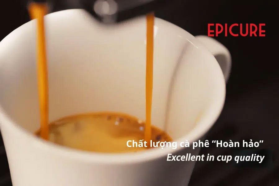 Máy pha cà phê gia đình