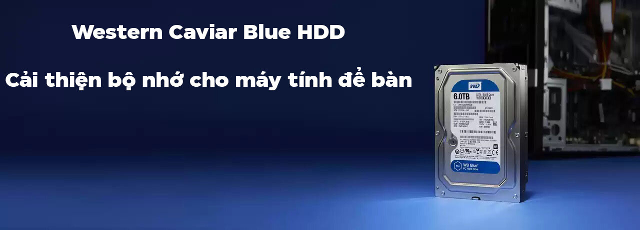 Ổ cứng HDD WD  Blue 3.5 inch