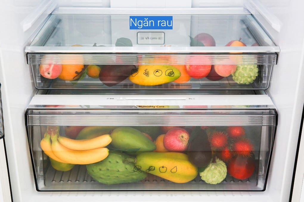 Tủ lạnh Panasonic NR-DZ600MBVN