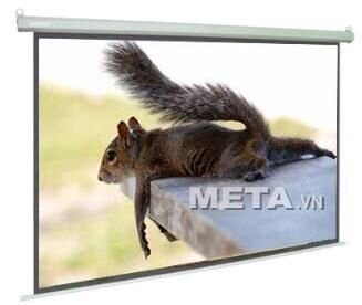 Màn chiếu treo tường Dalite PL96WS (96 x 96)