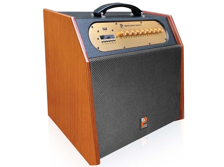 Loa di động Karaoke xách tay Prosing W8 Rapper