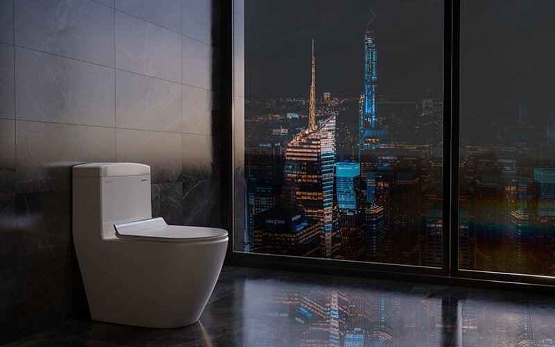 Thông tin sản phẩm bồn cầu 1 khối Viglacera Platinum P.11.350