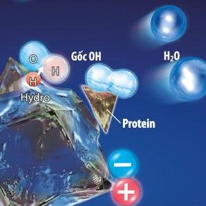 Máy lọc không khí Sharp IG-A20E-W