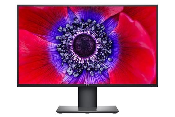 Màn hình Dell U2520D (Ảnh 1)