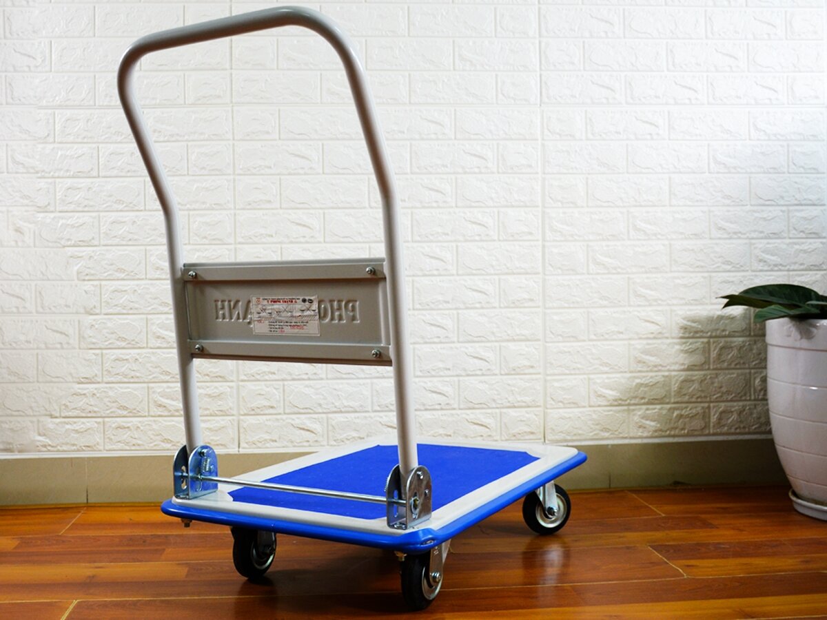 Xe đẩy hàng Phong Thạnh XTB100D