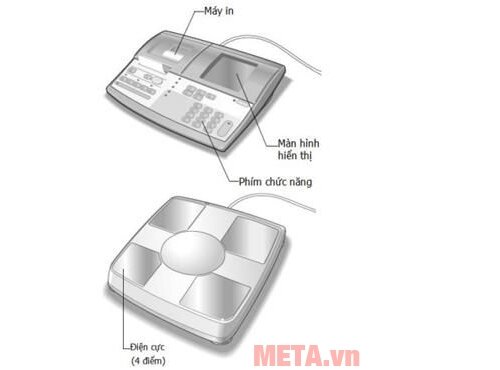 Cân sức khỏe và kiểm tra độ béo SC-330S