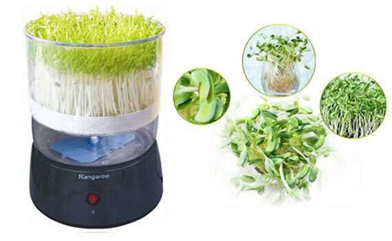 Máy làm rau mầm Kangaroo KG-261
