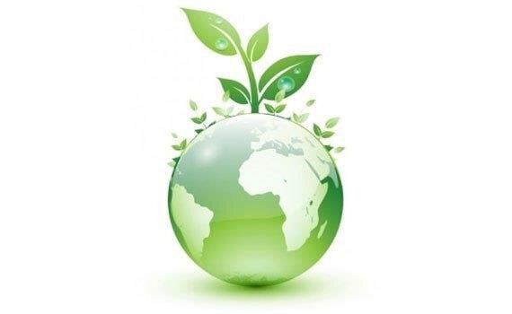 Tủ mát Sanaky 308L VH - 308K