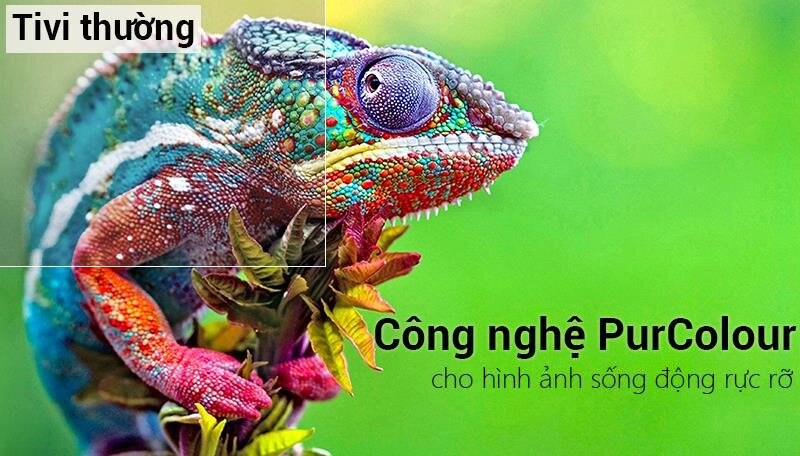 điện thoại samsung