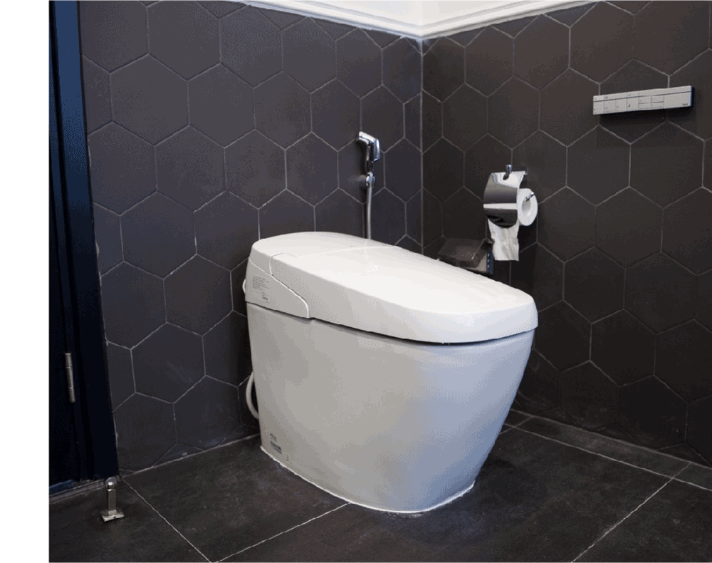 Bồn cầu điện tử INAX Satis G AC-G216VN màu trắng hiện đại