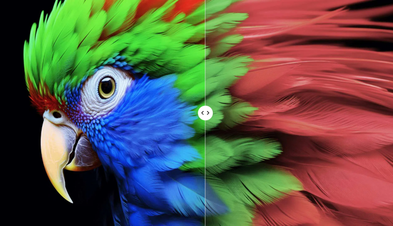 Google Tivi QLED TCL 4K 43 inch 43C69B