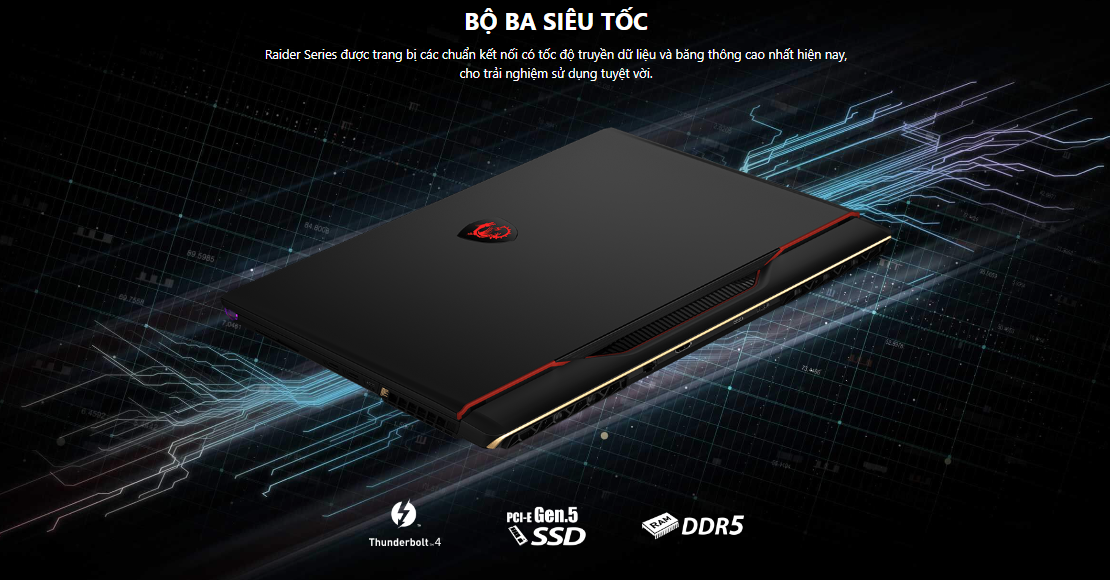 Laptop MSI Gaming GE78 HX Raider (13VH -076VN)