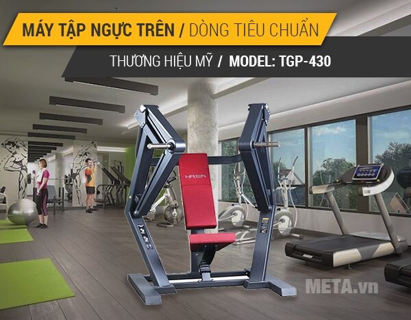 Máy tập ngực dưới Tiger Sport Premium TGP-430