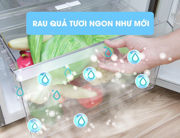 Tủ lạnh LG 255 lít GN-L275PS Tủ lạnh LG 255 lít GN-L275PS
