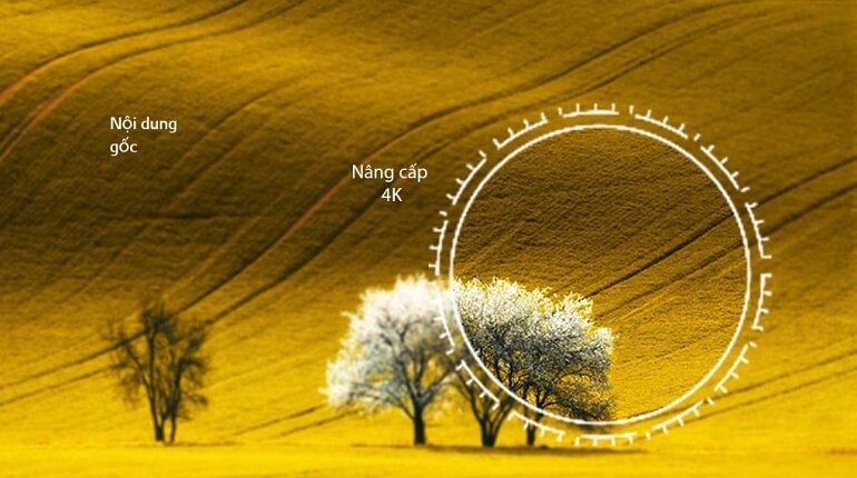 Smart Tivi QNED LG 4K 55 inch 55QNED80SRA