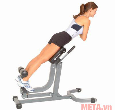 Ghế tập lưng Impulse IFAH