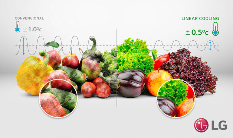 Tủ lạnh LG Inverter 395 lít GN-B392DS