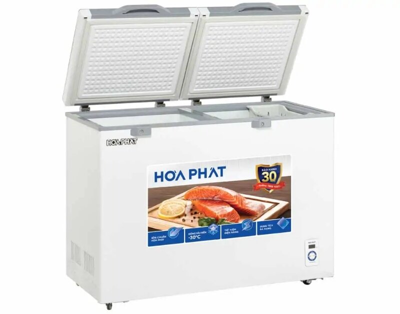Tủ đông Hòa Phát 2 ngăn 245 lít BD6245.T1
